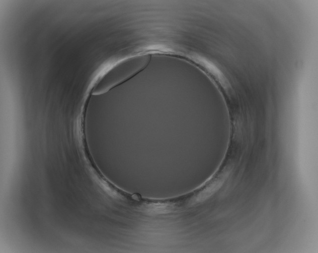 X0000110701373200906191519