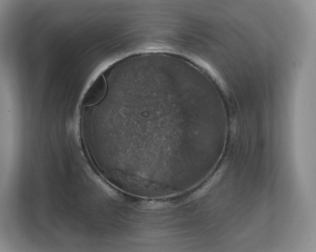 X0000110701374200906191519