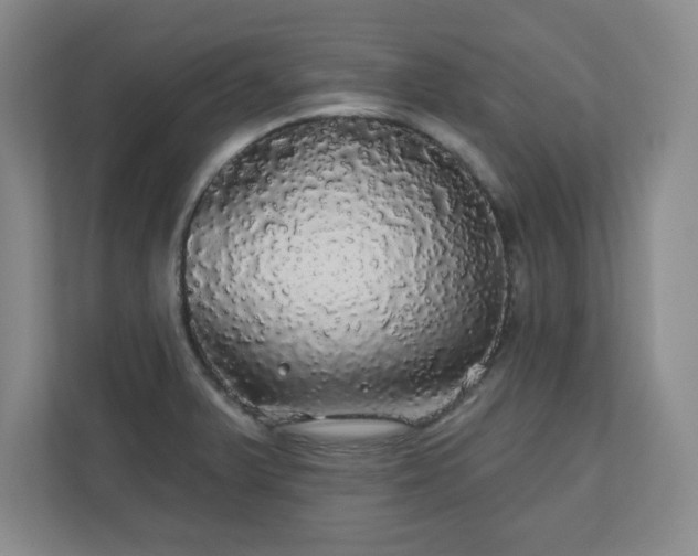 X0000110701375200906191519
