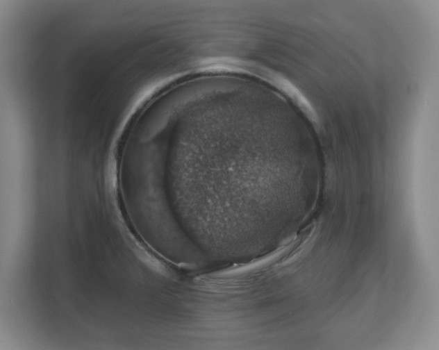 X0000110701376200906191519