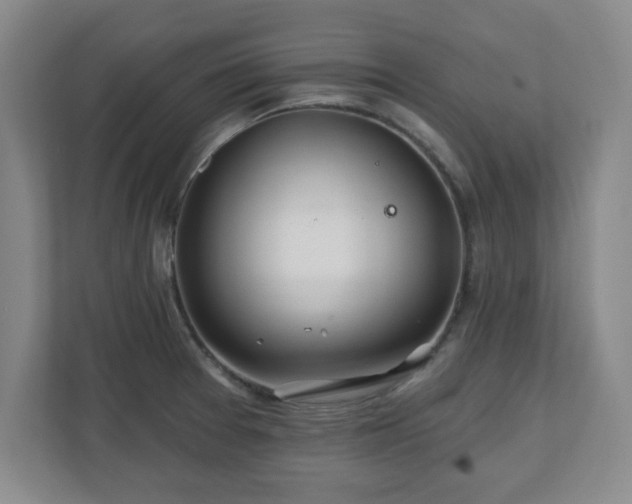 X0000110701377200906191519