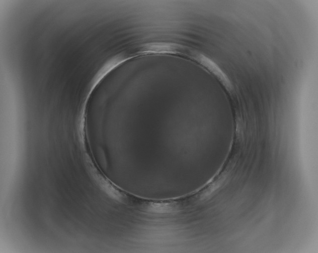 X0000110701378200906191519
