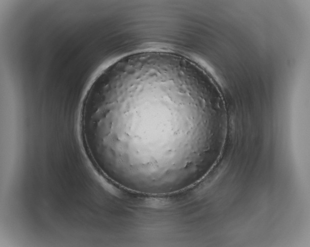 X0000110701379200906191519