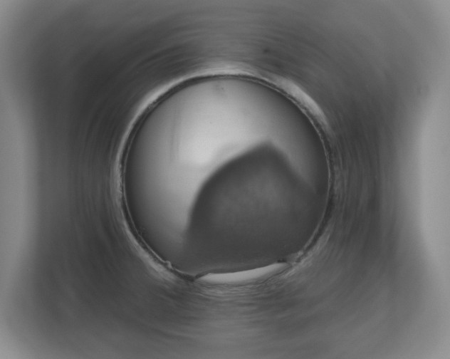 X0000110701380200906191519
