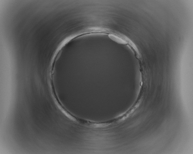 X0000110701381200906191519
