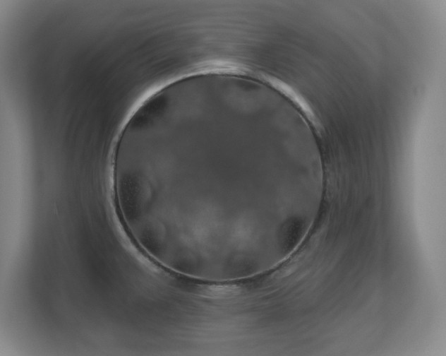 X0000110701383200906191519