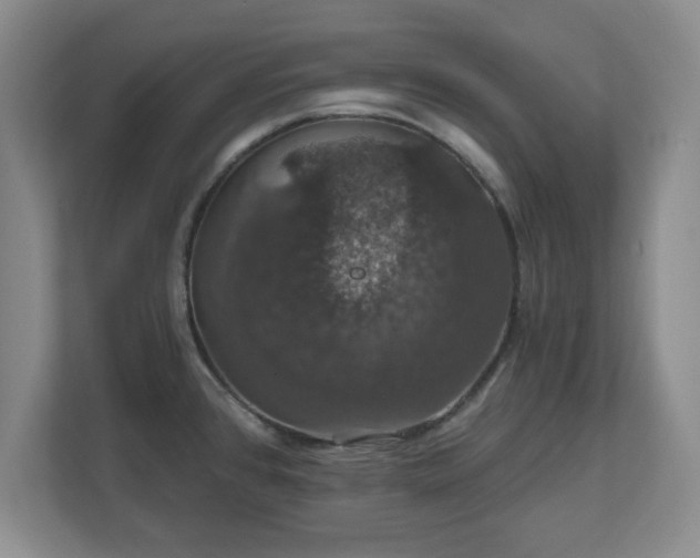 X0000110701384200906191519
