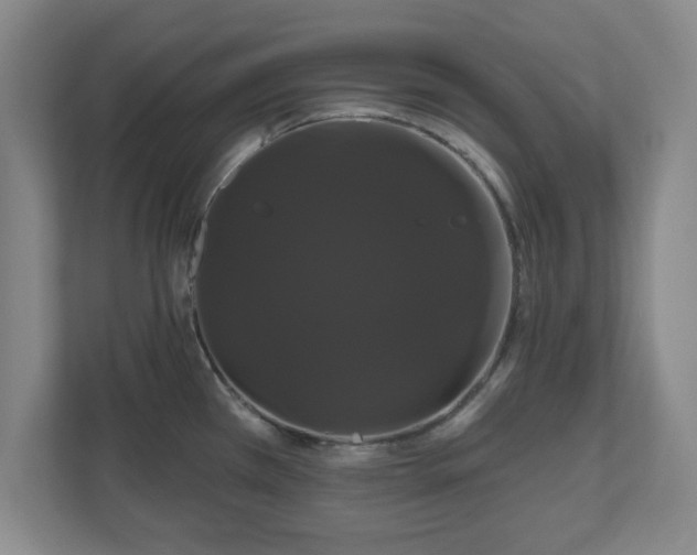 X0000110701385200906191519