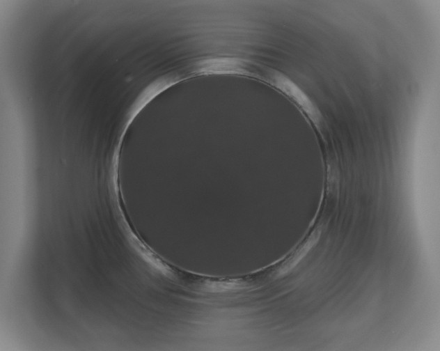 X0000110701386200906191519