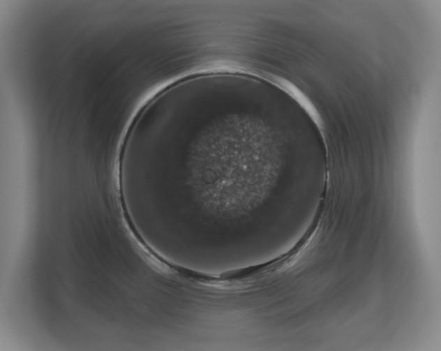 X0000110701388200906191519