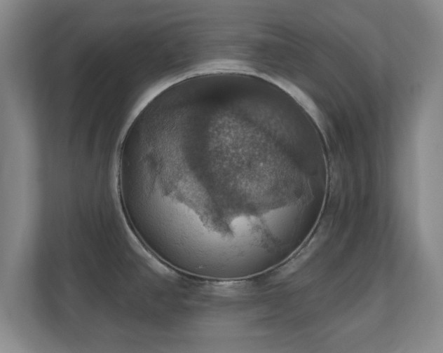 X0000110701390200906191518