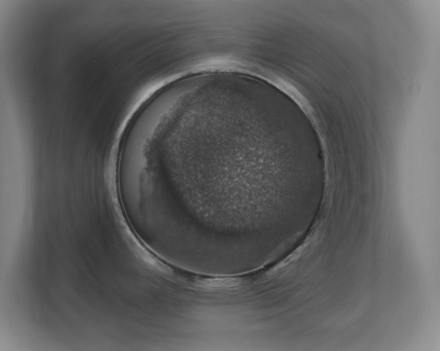 X0000110701392200906191518