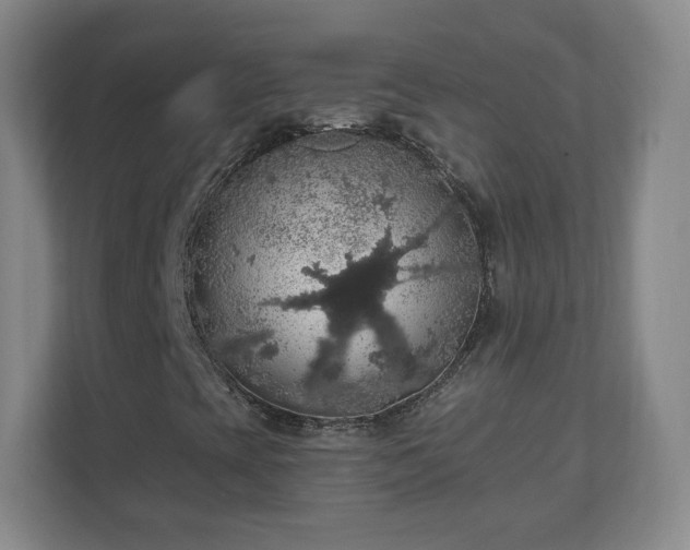 X0000110701393200906191518