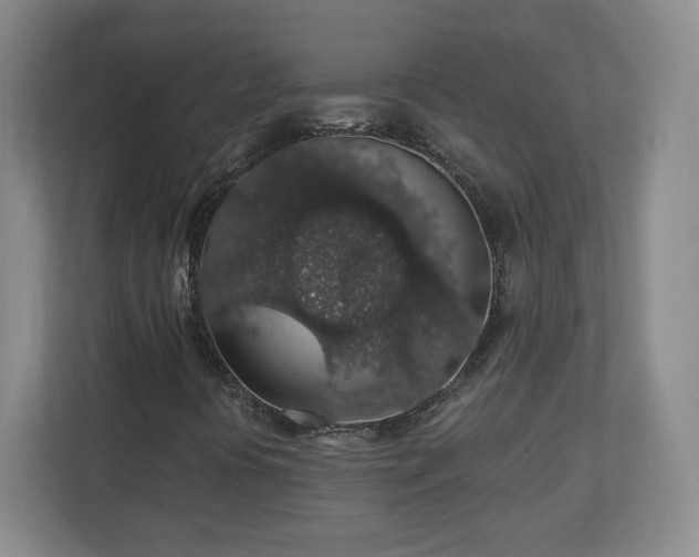 X0000110701394200906191518