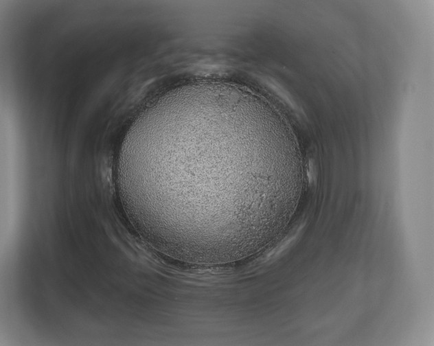 X0000110701396200906191518