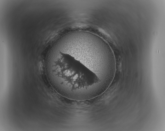 X0000110701397200906191518