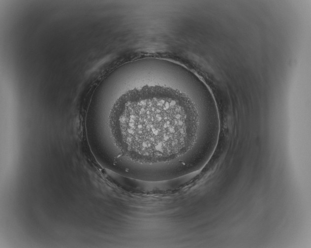 X0000110701398200906191518