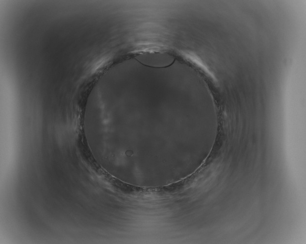 X0000110701399200906191518