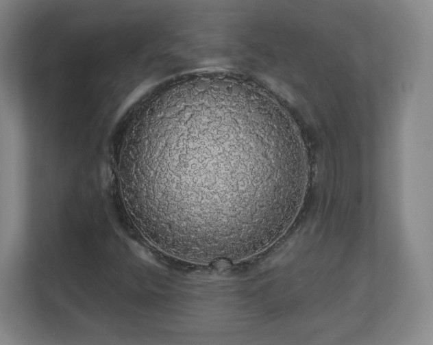 X0000110701400200906191518
