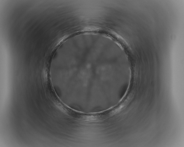 X0000110701401200906191518