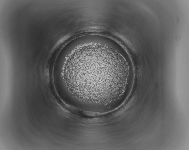 X0000110701402200906191518