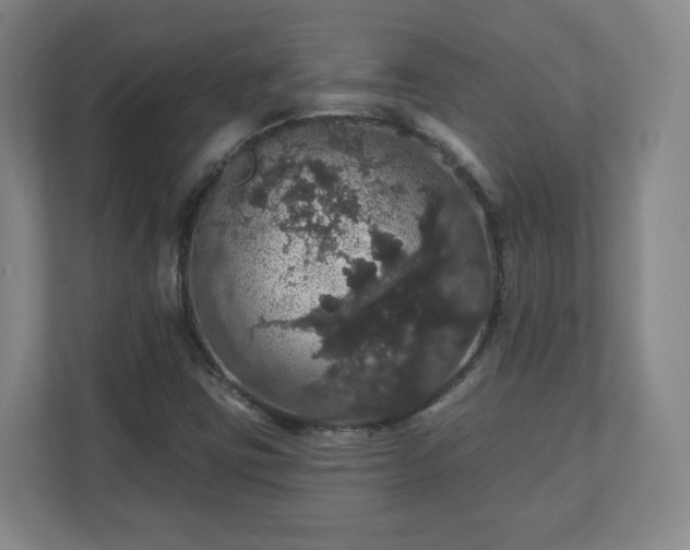 X0000110701403200906191518