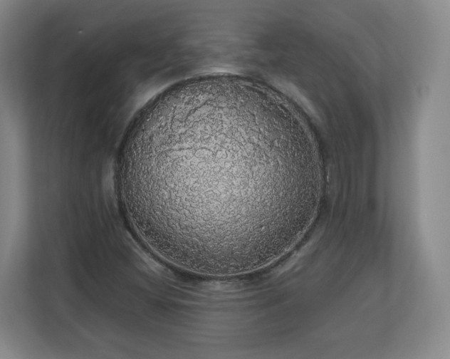 X0000110701404200906191518