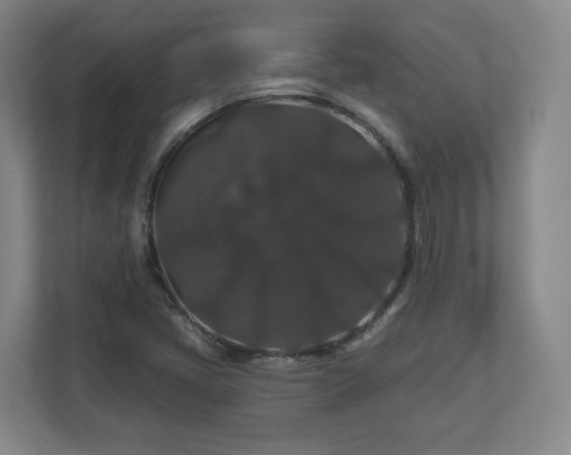 X0000110701405200906191518