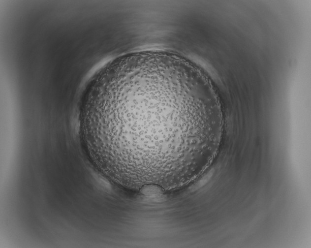 X0000110701406200906191518