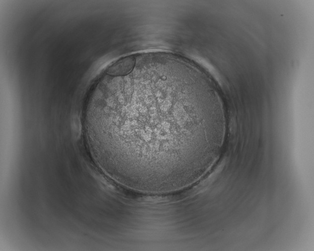 X0000110701407200906191518