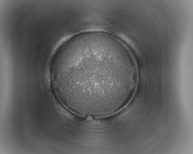 X0000110701408200906191518