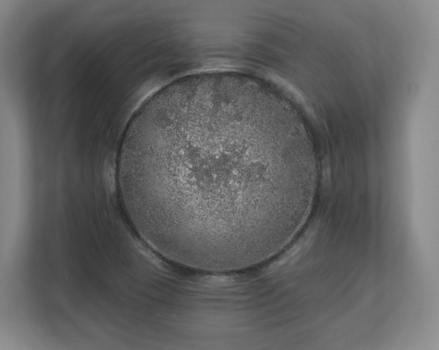 X0000110701409200906191518