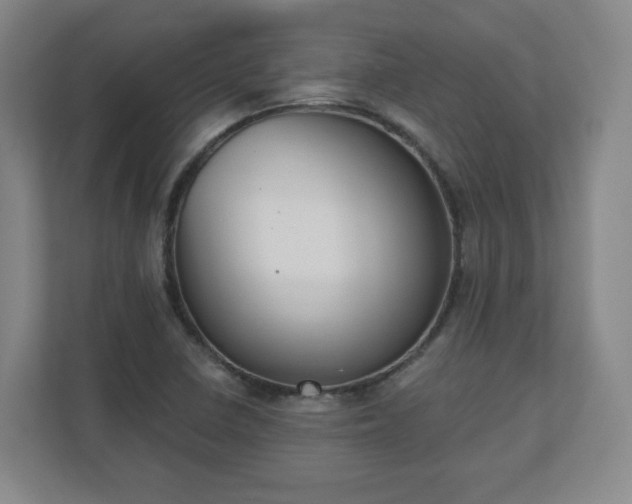 X0000110701410200906191518