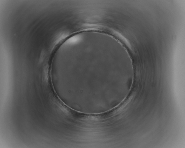 X0000110701411200906191518