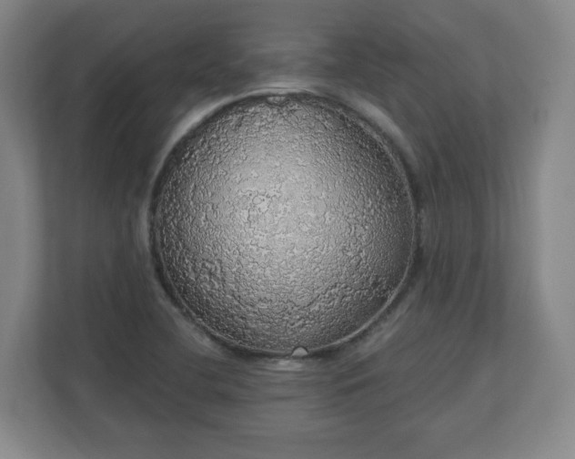 X0000110701412200906191518