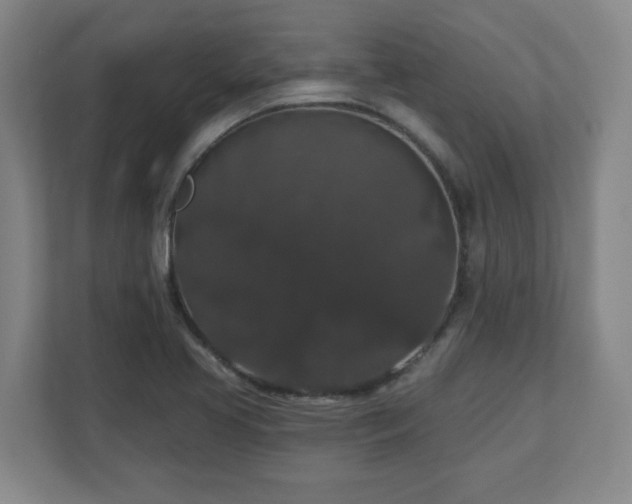 X0000110701413200906191518