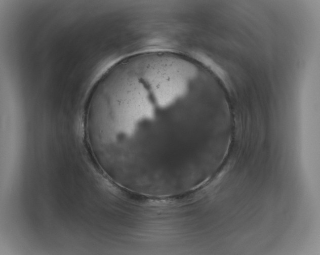 X0000110701415200906191518