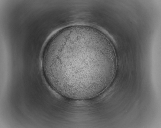 X0000110701416200906191518