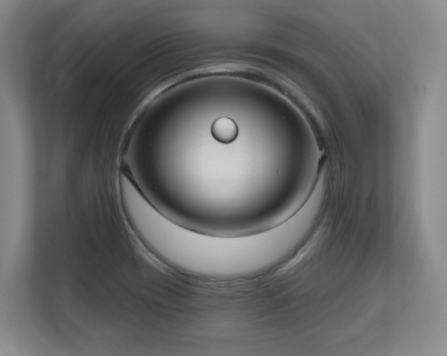 X0000110701417200906191518
