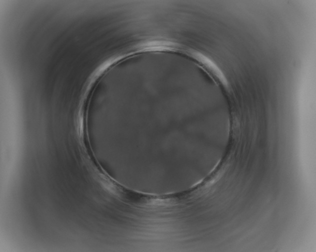 X0000110701419200906191518