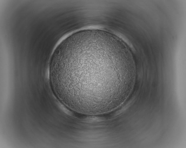 X0000110701420200906191518