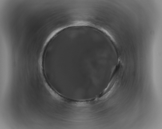 X0000110701422200906191518