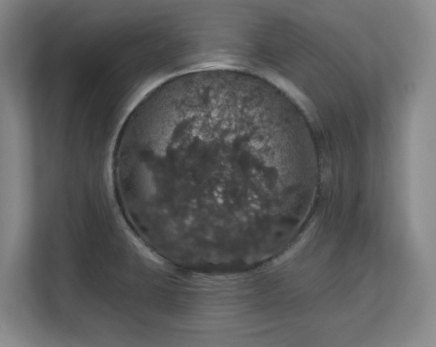 X0000110701423200906191518