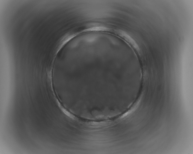 X0000110701425200906191518