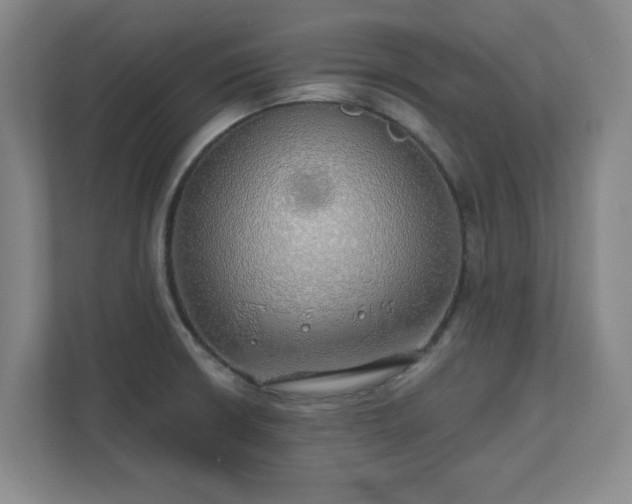X0000110701426200906191518