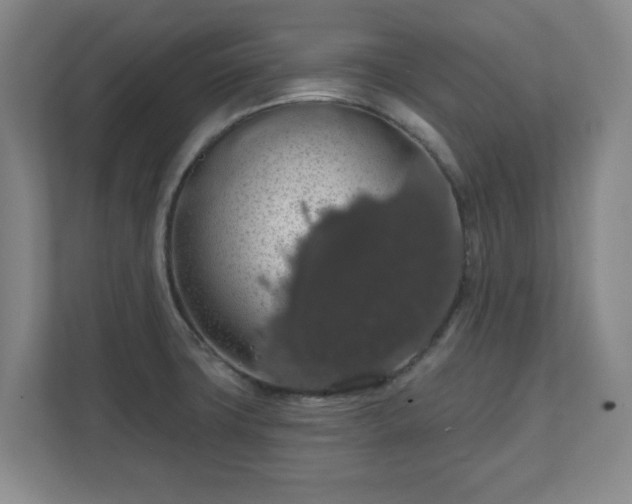 X0000110701427200906191518