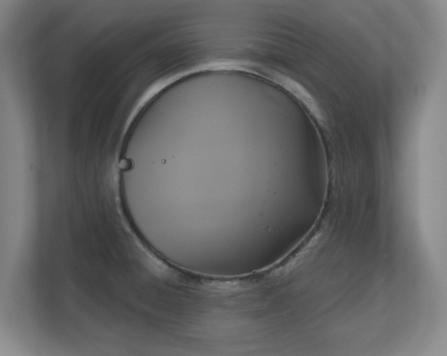X0000110701428200906191518