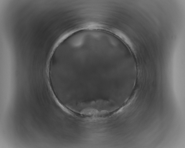 X0000110701429200906191518