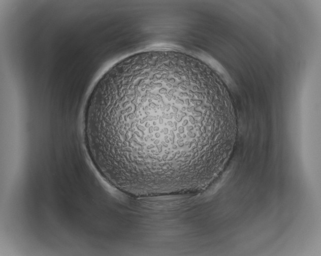 X0000110701430200906191518