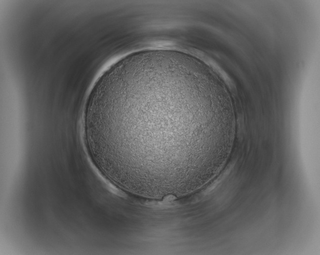 X0000110701432200906191518